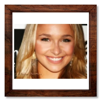 Hayden Panettiere 12x12