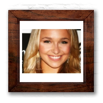 Hayden Panettiere 6x6