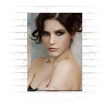 Sophia Bush Poster