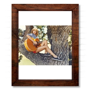 Taylor Swift 14x17