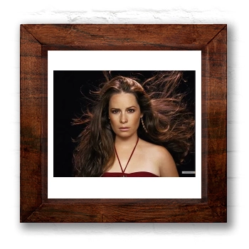 Holly Marie Combs 6x6