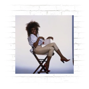 Tina Turner Poster