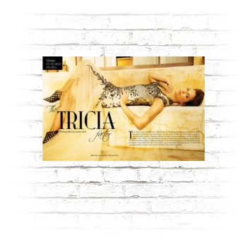 Tricia Helfer Poster