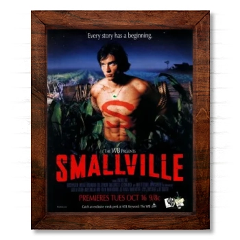 Smallville (2001) 14x17