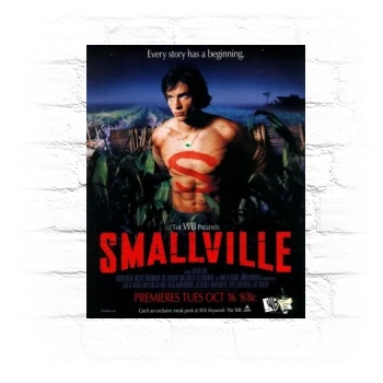 Smallville (2001) Metal Wall Art