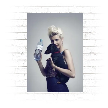 Agyness Deyn Poster