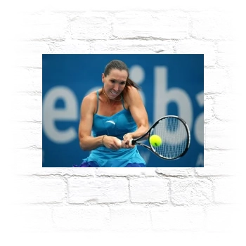 Jelena Jankovic Metal Wall Art