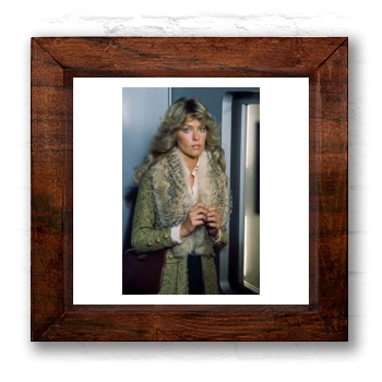 Farrah Fawcett 6x6