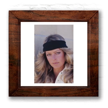 Farrah Fawcett 6x6