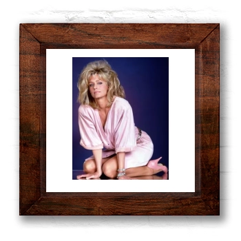 Farrah Fawcett 6x6