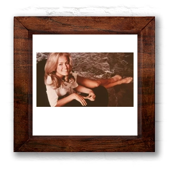 Farrah Fawcett 6x6