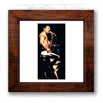 Freddie Mercury 6x6