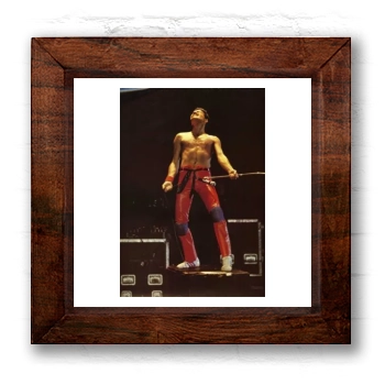 Freddie Mercury 6x6