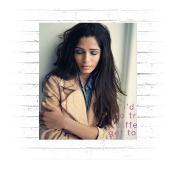 Freida Pinto Poster