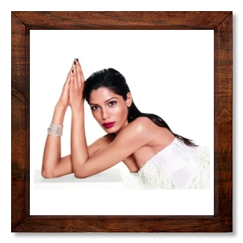 Freida Pinto 12x12