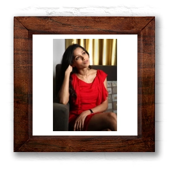 Freida Pinto 6x6