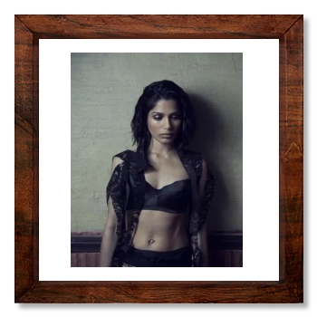 Freida Pinto 12x12