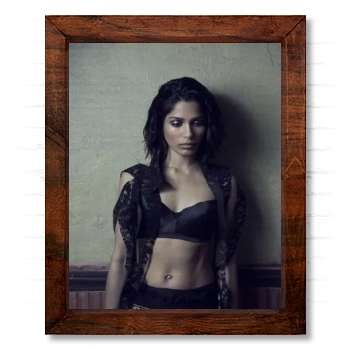 Freida Pinto 14x17