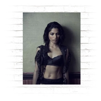 Freida Pinto Poster