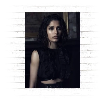 Freida Pinto Poster