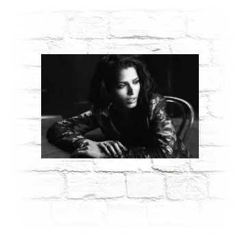 Freida Pinto Metal Wall Art