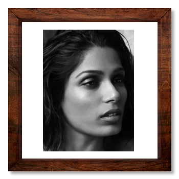 Freida Pinto 12x12