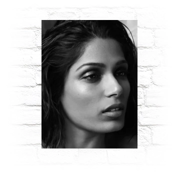 Freida Pinto Metal Wall Art