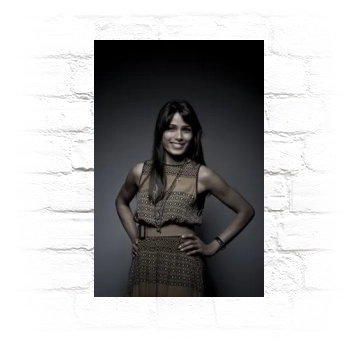 Freida Pinto Metal Wall Art