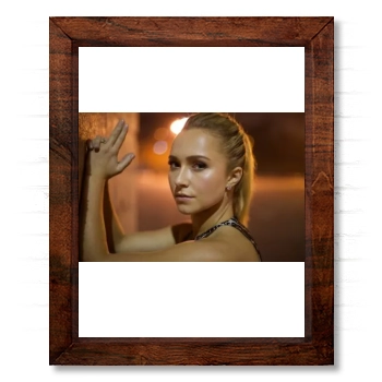 Hayden Panettiere 14x17