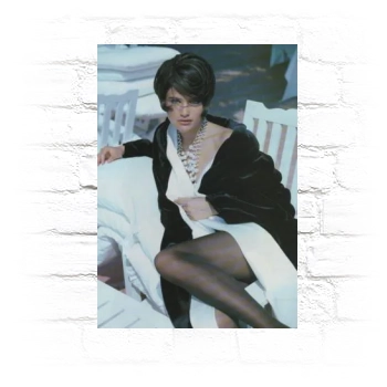 Helena Christensen Metal Wall Art