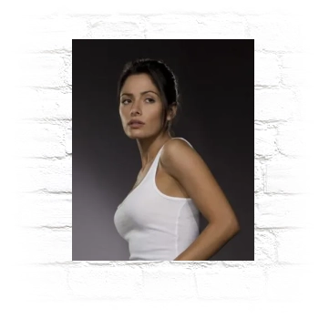 Sarah Shahi Metal Wall Art