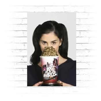 Sarah Silverman Poster