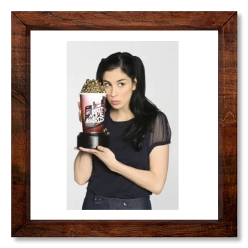 Sarah Silverman 12x12