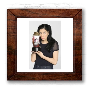 Sarah Silverman 6x6