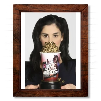 Sarah Silverman 14x17