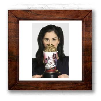 Sarah Silverman 6x6