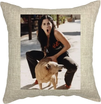 Sarah Silverman Pillow