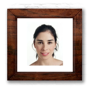 Sarah Silverman 6x6