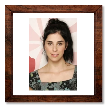 Sarah Silverman 12x12