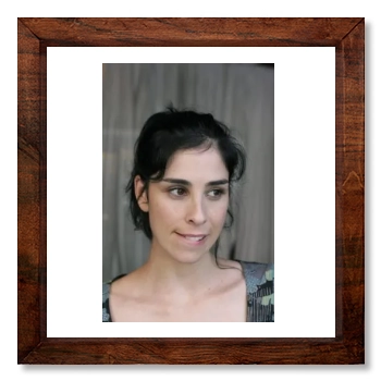 Sarah Silverman 12x12