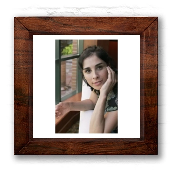 Sarah Silverman 6x6