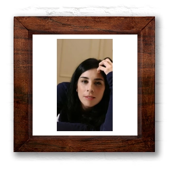 Sarah Silverman 6x6