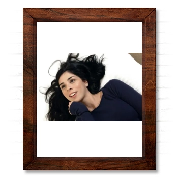 Sarah Silverman 14x17