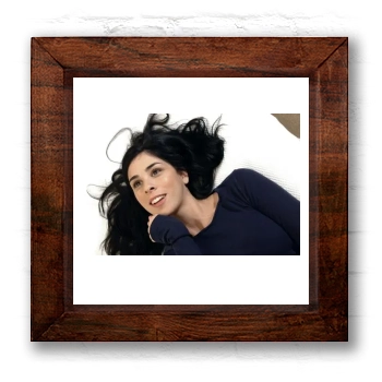 Sarah Silverman 6x6