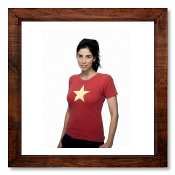 Sarah Silverman 12x12