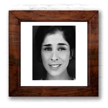 Sarah Silverman 6x6