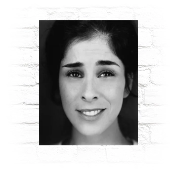 Sarah Silverman Metal Wall Art