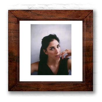 Sarah Silverman 6x6