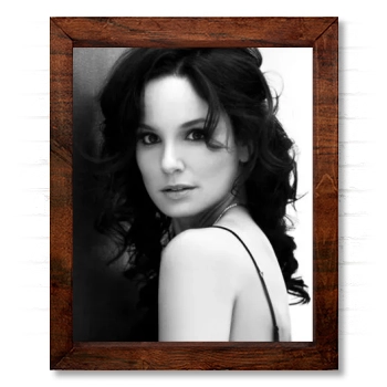 Sarah Wayne Callies 14x17