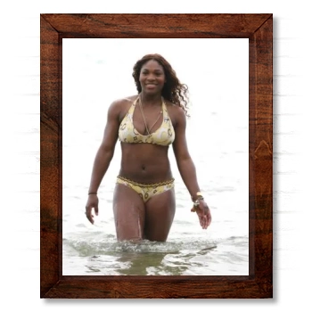 Serena Williams 14x17